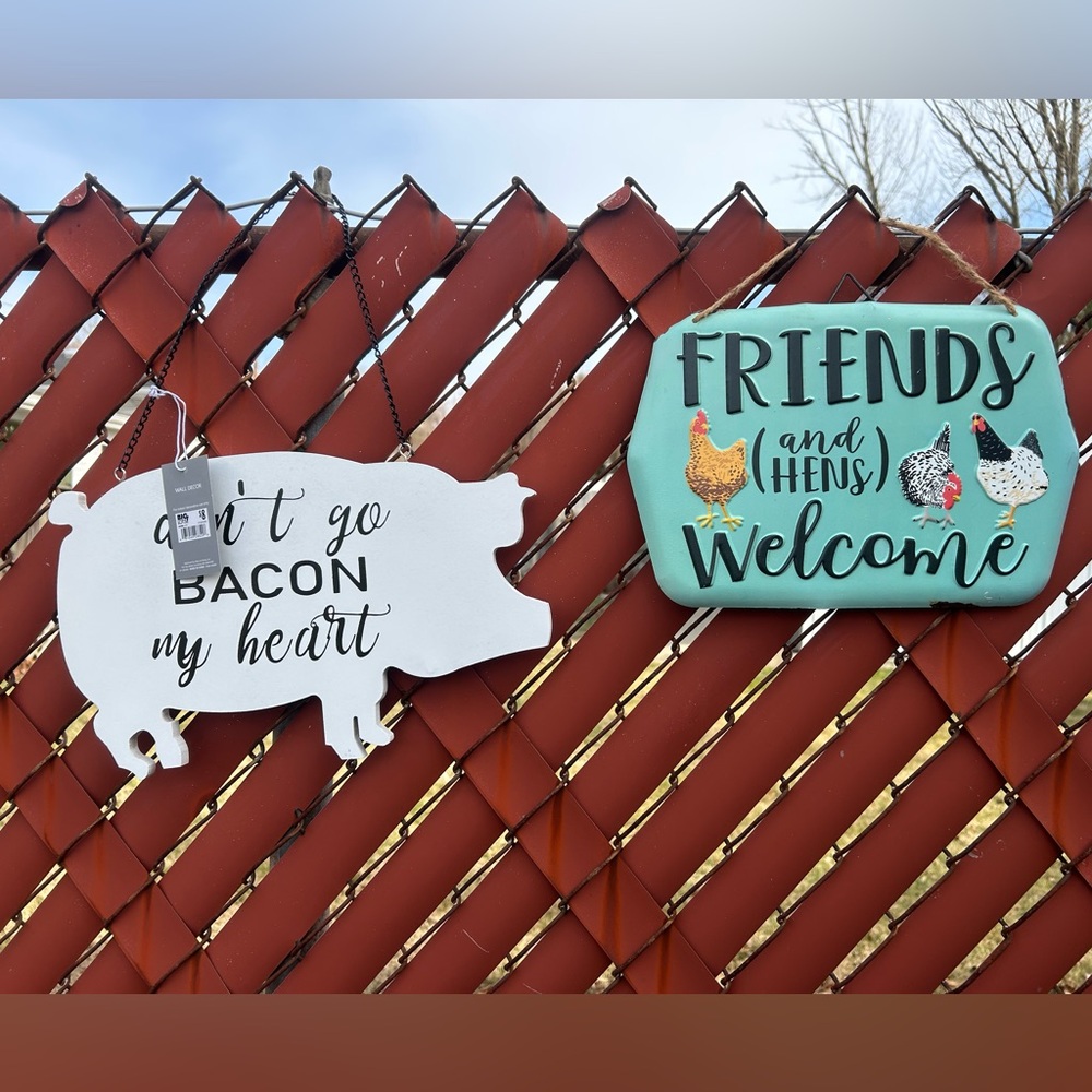 NWT 2 farm hanging decor. Wooden pig “don’t go bacon my heart” & Metal chicks.
